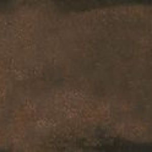 Porcelanato Corten Hd Retificado Esmaltado 58,4x117,0