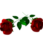 Planta de Sombra - Flor - Rosa de Corte