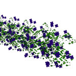 Planta de Sol - Trepadeira - Flor-de-são-miguel/ petrea volubilis